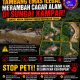 Tambang Emas Ilegal Merambah Cagar Alam di Sungai Kampar, GMOCT Minta Penegak Hukum Bertindak Tegas