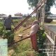 IMG 20260731 WA0036