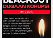 Pemasok batubara,pln black outcluster jambi