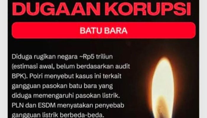 Pemasok batubara,pln black outcluster jambi