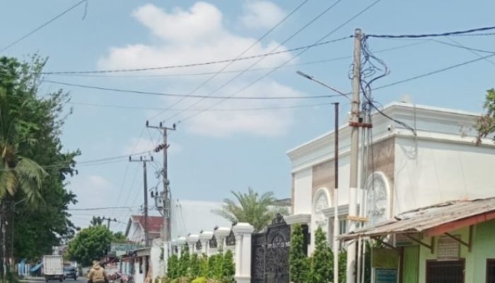 Lupa ingatan kasus BBMM hinga pemilik kuasai proyek besar di jambi