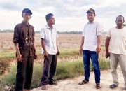 Pasca Banjir Bandang Tahun Lalu, Ribuan Hektare Sawah di Kecamatan Baktiya Tidak Bisa Dibajak, Zul Panton Desak Pemerintah Untuk Segera Atasi Keluhan Petani