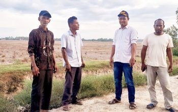 Pasca Banjir Bandang Tahun Lalu, Ribuan Hektare Sawah di Kecamatan Baktiya Tidak Bisa Dibajak, Zul Panton Desak Pemerintah Untuk Segera Atasi Keluhan Petani