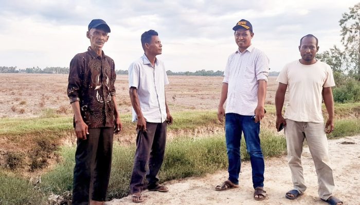 Pasca Banjir Bandang Tahun Lalu, Ribuan Hektare Sawah di Kecamatan Baktiya Tidak Bisa Dibajak, Zul Panton Desak Pemerintah Untuk Segera Atasi Keluhan Petani