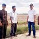 Pasca Banjir Bandang Tahun Lalu, Ribuan Hektare Sawah di Kecamatan Baktiya Tidak Bisa Dibajak, Zul Panton Desak Pemerintah Untuk Segera Atasi Keluhan Petani