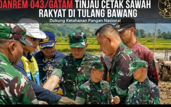 danrem 043/gatam tinjau cetak sawah rakyat di tulang bawang, perkuat ketahanan pangan 6 Screenshot 20260731 0915152