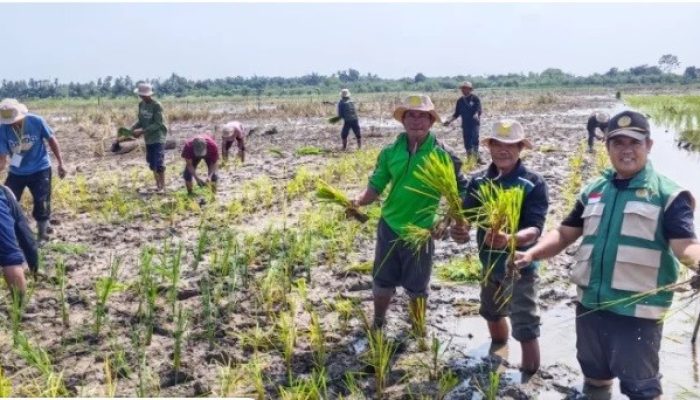 Hut ke 81,ketua kelompok tani, kecamatan berbak,Ajak warga perkuat swasembada