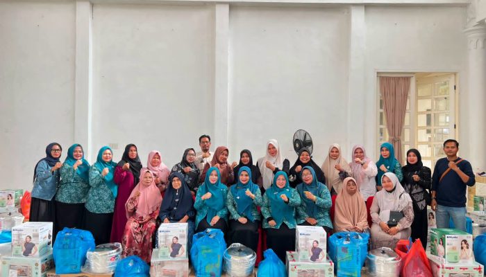 Ketua TP PKK Salurkan Bantuan Usaha Ekonomi Produktif