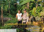 pekarangan produktif didorong jadi penopang ketahanan pangan, aipda awanadi edukasi warga kelurahan sei sedapat 14 IMG 20260801 WA0001