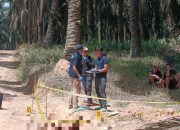Gerak Cepat Polres Musi Banyuasin Ungkap Kasus Penemuan Jenazah di Area Perkebunan Sawit