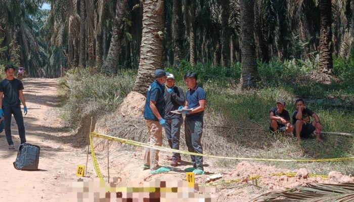 Gerak Cepat Polres Musi Banyuasin Ungkap Kasus Penemuan Jenazah di Area Perkebunan Sawit