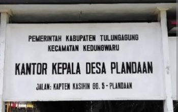 IMG 20260818 WA0001