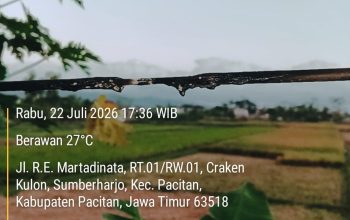 IMG 20260818 WA0119
