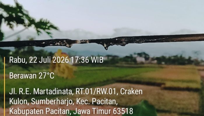 Internet Rp100 Ribu Masuk Pacitan, Sembilan Titik Kabel Starlite Diduga Jadi Sasaran Perusakan
