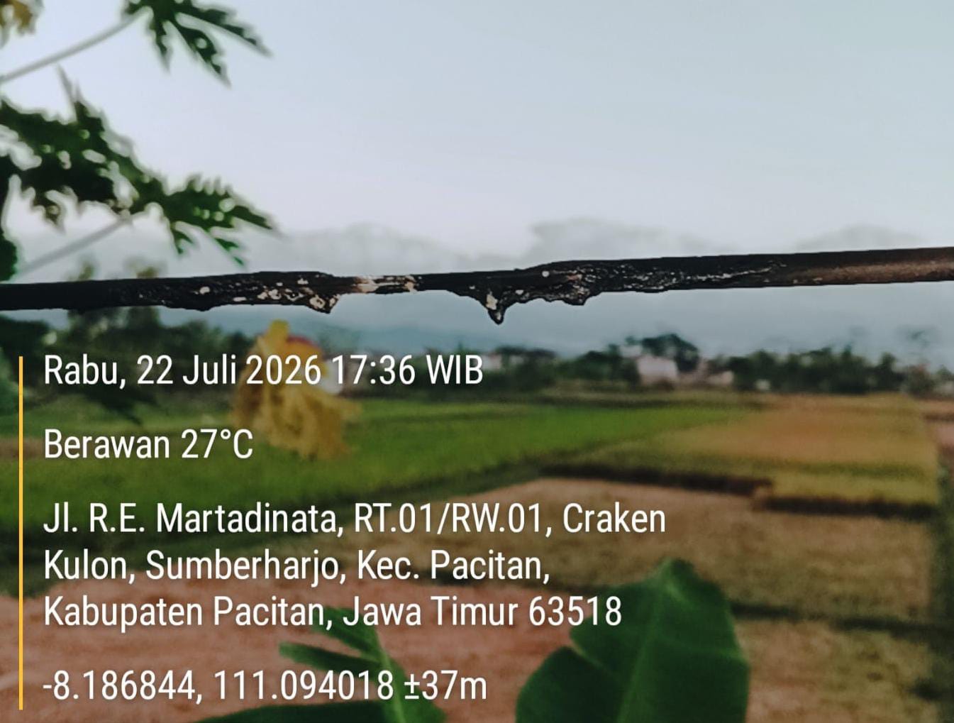 IMG 20260818 WA0119