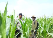 Semangat Bhabinkamtibmas dan Petani Kandis, Kekuatan Swasembada Pangan