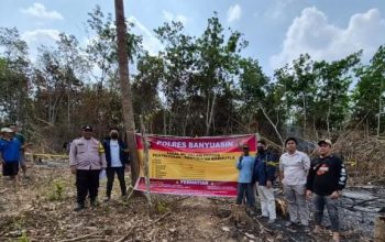 Buka Lahan dengan Cara Dibakar, Api Merambat hingga 6 Hektare, Seorang Pria Diamankan Polres Banyuasin