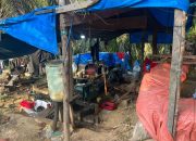 Enam Pekerja Ditangkap, Pemilik Lahan Serta Bos Peti di Bungo Tak Tersentuh APH