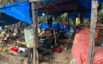Enam Pekerja Ditangkap, Pemilik Lahan Serta Bos Peti di Bungo Tak Tersentuh APH