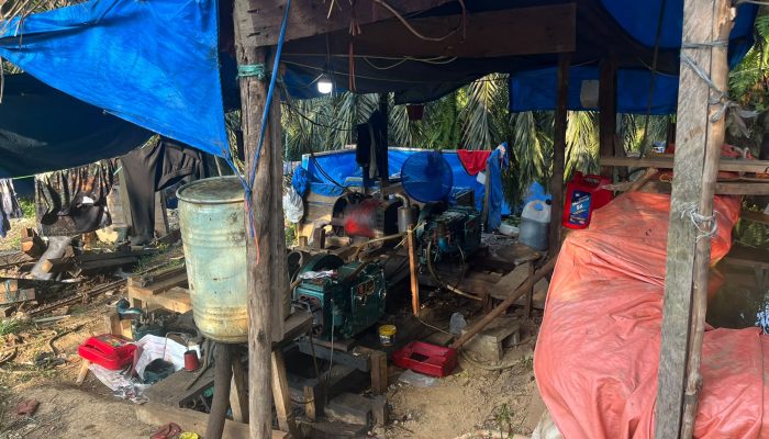 Enam Pekerja Ditangkap, Pemilik Lahan Serta Bos Peti di Bungo Tak Tersentuh APH