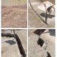 IMG 20260827 WA0063