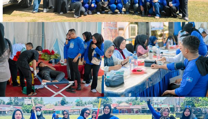 HUT ke-25 Demokrat, Kader di Aceh Singkil Gelar Donor Darah hingga Tanam Pohon