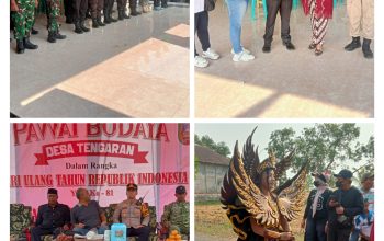 Pawai budaya kebangsaan RI ke 81 indonesia merdeka, Desa tengaran kecamatan peterongan kabupaten Jombang. 