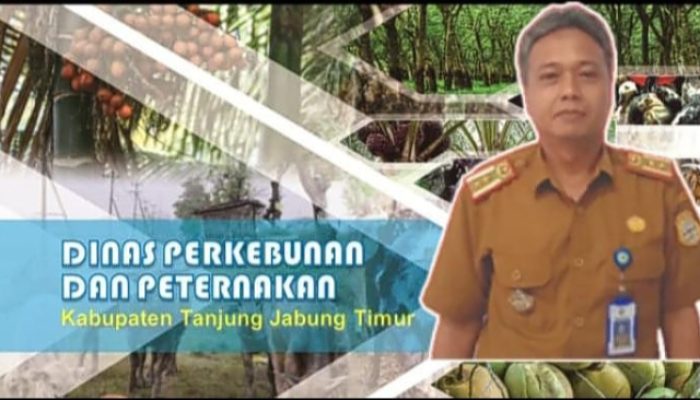 Dinas perkebunan dan peternakan kabupaten tanjung jabung timur provinsi jambi Sampaikan ucapan dirgahayu Republik Indonesia ke 81