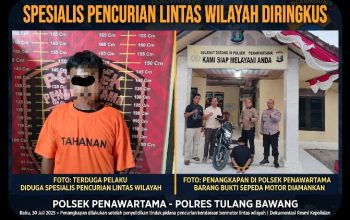 tim urc polres tulang bawang bekuk spesialis pencuri warung, berakhir gara-gara goreng tempe 3 Screenshot 20260807 1935042