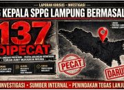 BGN Pecat 137 Kepala SPPG, Lampung Sumbang 26 – Program MBG Bobrok Dari Hulu?