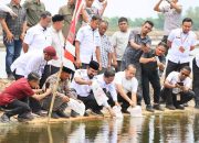Lobi Bupati Al- Farlaky, Pembudidaya Tambak Terima Benur Udang Vaname Dari KKP