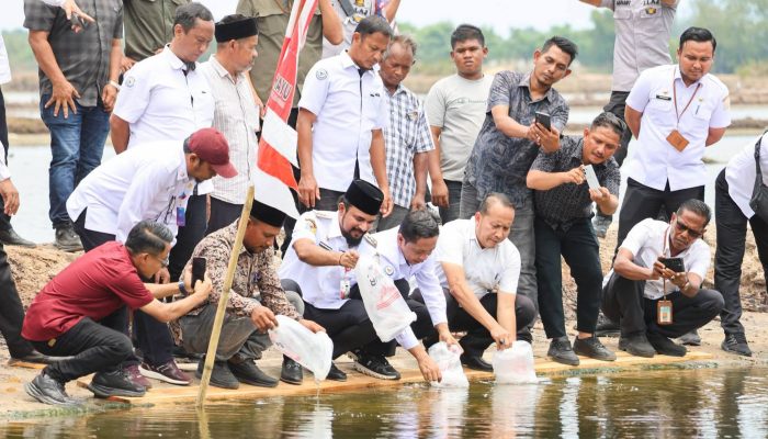 Lobi Bupati Al- Farlaky, Pembudidaya Tambak Terima Benur Udang Vaname Dari KKP