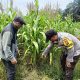 IMG 20260904 WA0048