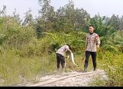 IMG 20260906 WA0041 1