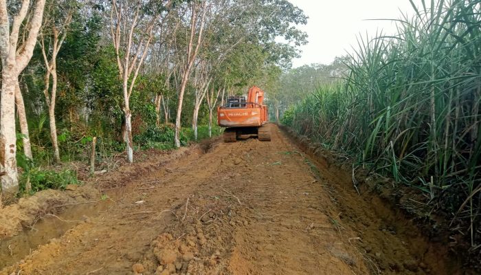 Pemerintah Tiyuh Kibang Budi Jaya Laksanakan Perbaikan Badan Jalan Usaha Tani dan Perbaikan Lapangan Sepak Bola
