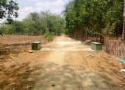 pemerintah tiyuh kibang budi jaya laksanakan pembangunan gorong - gorong tahun 2026 9 IMG 20260914 WA0040
