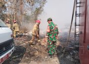 Kebakaran Lahan Seluas 2 Hektare di Kopi Luhur Cirebon Berhasil Dipadamkan ‎