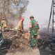 Kebakaran Lahan Seluas 2 Hektare di Kopi Luhur Cirebon Berhasil Dipadamkan ‎
