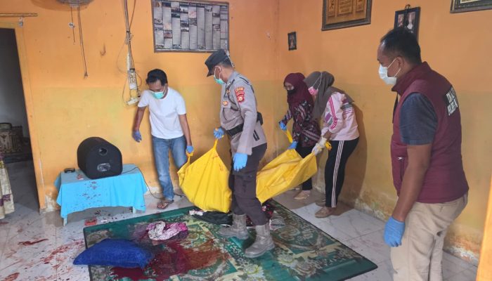 Polisi Amankan Pelaku Pembunuhan di Pulau Rimau, Diduga Dilatarbelakangi Sakit Hati