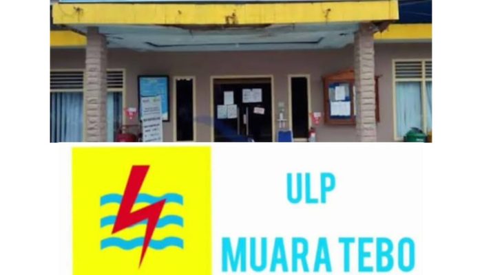 Pihak pln tebo bersama kepolisian datangi desa pagar puding lamo jumpai Syafrizal pemimpin desa pagar puding lamo