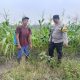 IMG 20260923 WA0022