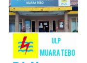Pihak pln tebo bersama kepolisian datangi desa pagar puding lamo jumpai Syafrizal pemimpin desa pagar puding lamo