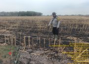 Ground Check Tiga Hotspot di Muara Sugihan, Dua Lokasi Ditemukan Bekas Karhutla