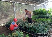 Dorong Swasembada Pangan, Bhabinkamtibmas Polsek Betung Ajak Warga Jalankan Program P2B