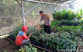 Dorong Swasembada Pangan, Bhabinkamtibmas Polsek Betung Ajak Warga Jalankan Program P2B