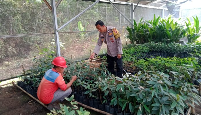 Dorong Swasembada Pangan, Bhabinkamtibmas Polsek Betung Ajak Warga Jalankan Program P2B
