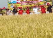 IMG 20260917 171240