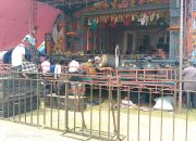 Ribuan Warga Meriahkan Hari Jadi Desa Tegal Sari ke-44