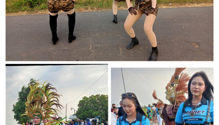 Karnaval HUT RI ke-81 Desa Kedungbetik Meriah, 10 Sound Horeg Ramaikan Perayaan