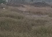 IMG 20261009 WA0022